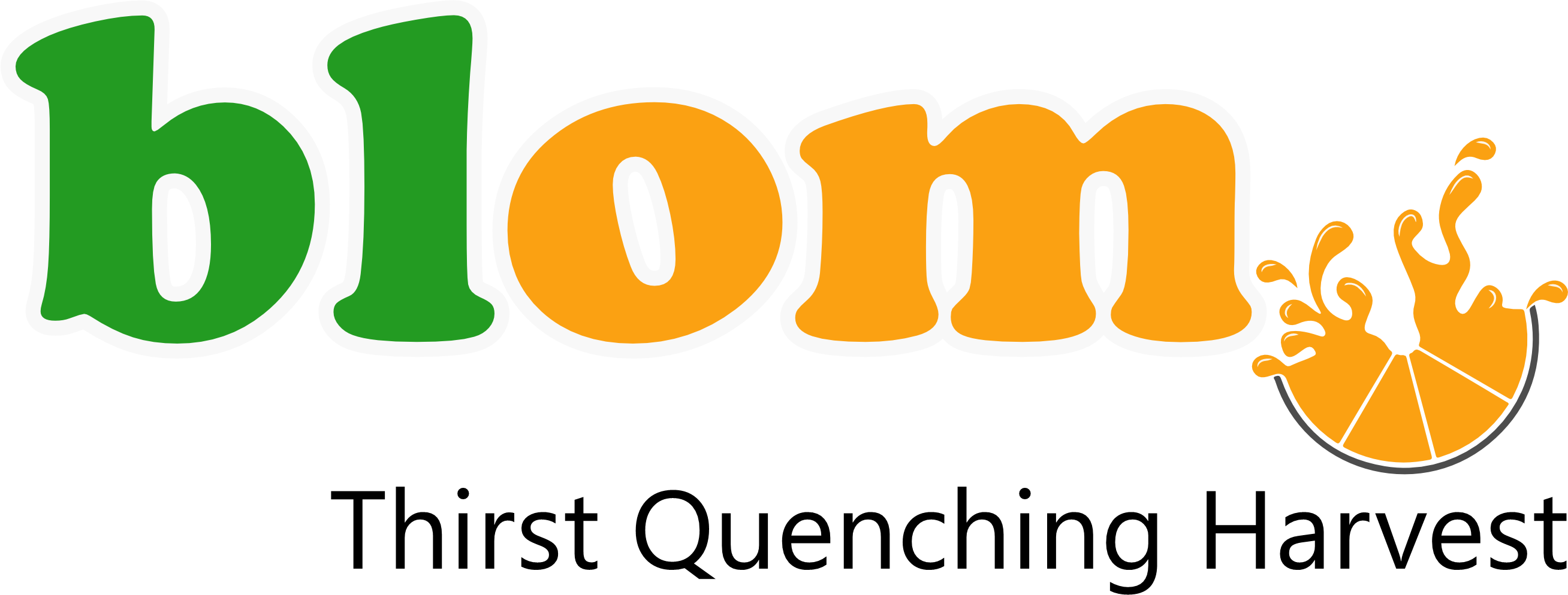 Blom Logo.